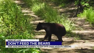 Dont Feed The Bears
