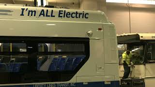 BeeLine E Bus 1