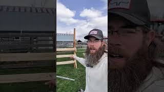 Prepping the alpaca shearing shelter #homestead #diy #alpaca #shearing