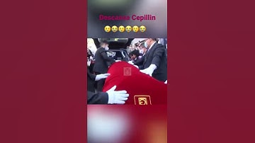 Thumbnail of Descansa Cepillin 🥹🥹😭😭😭