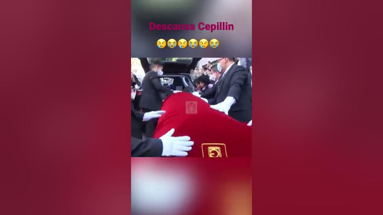 Descansa Cepillin 🥹🥹😭😭😭