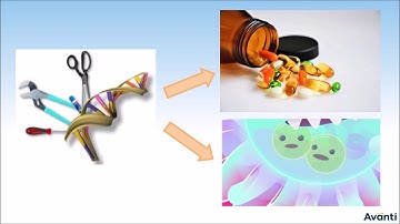 12B12.2 Introduction