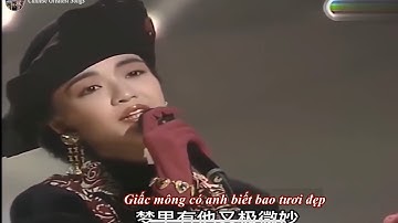 【Vietsub+Kara】Chuyến Bay Đêm/夜機-Trần Tuệ Nhàn/陈慧娴 (Lời Việt: Hạnh Phúc Nơi Nào- Ngọc Lan)