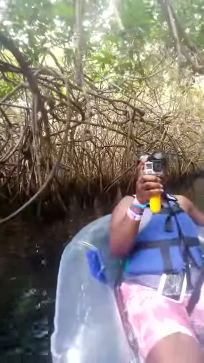 Floating down the lazy mangrove in Xel-Ha