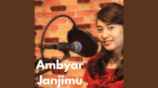 Ambyar Janjimu
