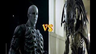 Engineer vs Predalien Who Would Win