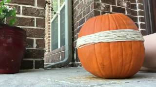 Pumpkin Explosion 💥 (Time-lapse)