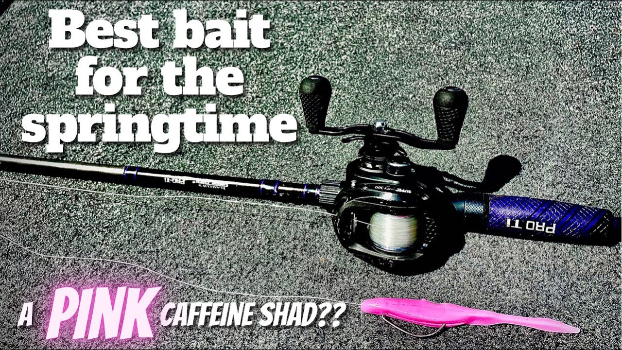 Soft Plastic Jerkbait (What's the biggest keys to throwing a Fluke