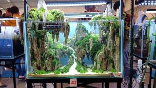 Aquascape Kontes Nusatic Tank 60