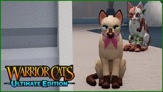 A warrior rejects the soft life of a kittypet || Warrior Cats: Ultimate Edition