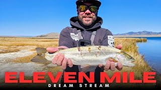 Trout & Kokanee Fishing at Eleven Mile Reservoir + Dream Stream