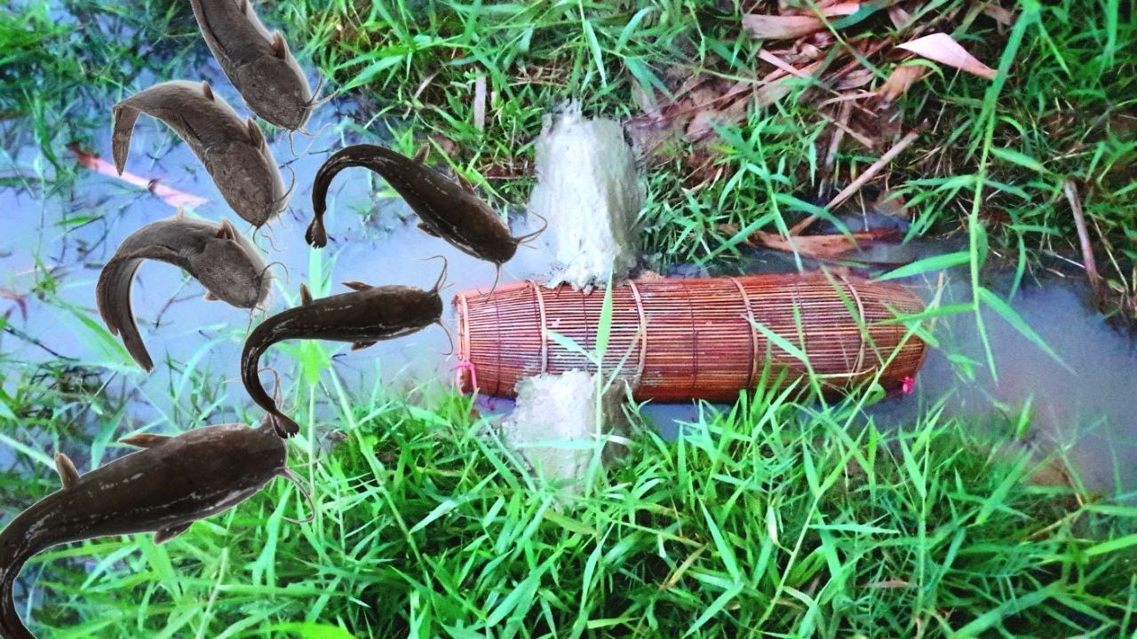How to build bamboo fish trap / Idea fishing /Technique fishing. - YouTube