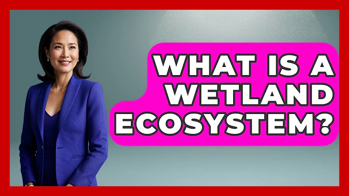 What Is A Wetland Ecosystem? - The Geography Atlas