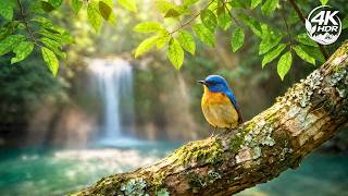 Relaxing Music for the Soul 🌿 Stress Relief, Emotional Healing & Inner Peace