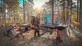 :    . HIDDEN CABIN in the WILD Forest.    .