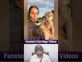 Funniest Cats and Dogs Videos 2026😼🐶Try Not To Laugh😜 #funnycats #funnydogs #catsanddogs #shorts