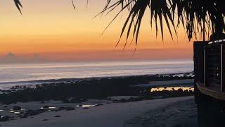 Tappa’s surf report 16/7/25 @tappateecetv 