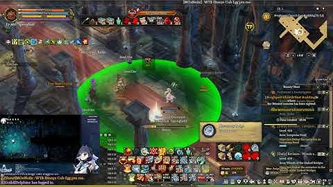 Tree of Savior Bounty Hunt - Cursed NPC