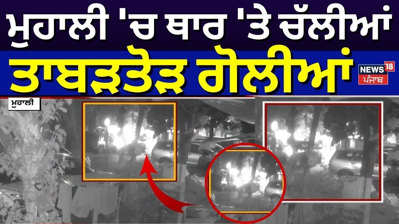 Breaking News | ਮੁਹਾਲੀ 'ਚ ਥਾਰ 'ਤੇ ਚੱਲੀਆਂ ਤਾਬੜਤੋੜ ਗੋਲੀਆਂ | Mohali Firing on Thar | News18 Punjab