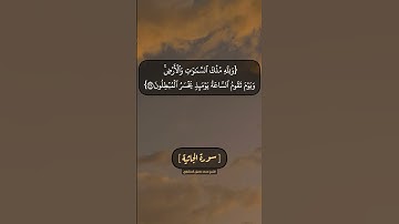 سورة الجاثية الآية ٢٦ الى ٢٨ بصوت الشيخ محمد صديق المنشاوي