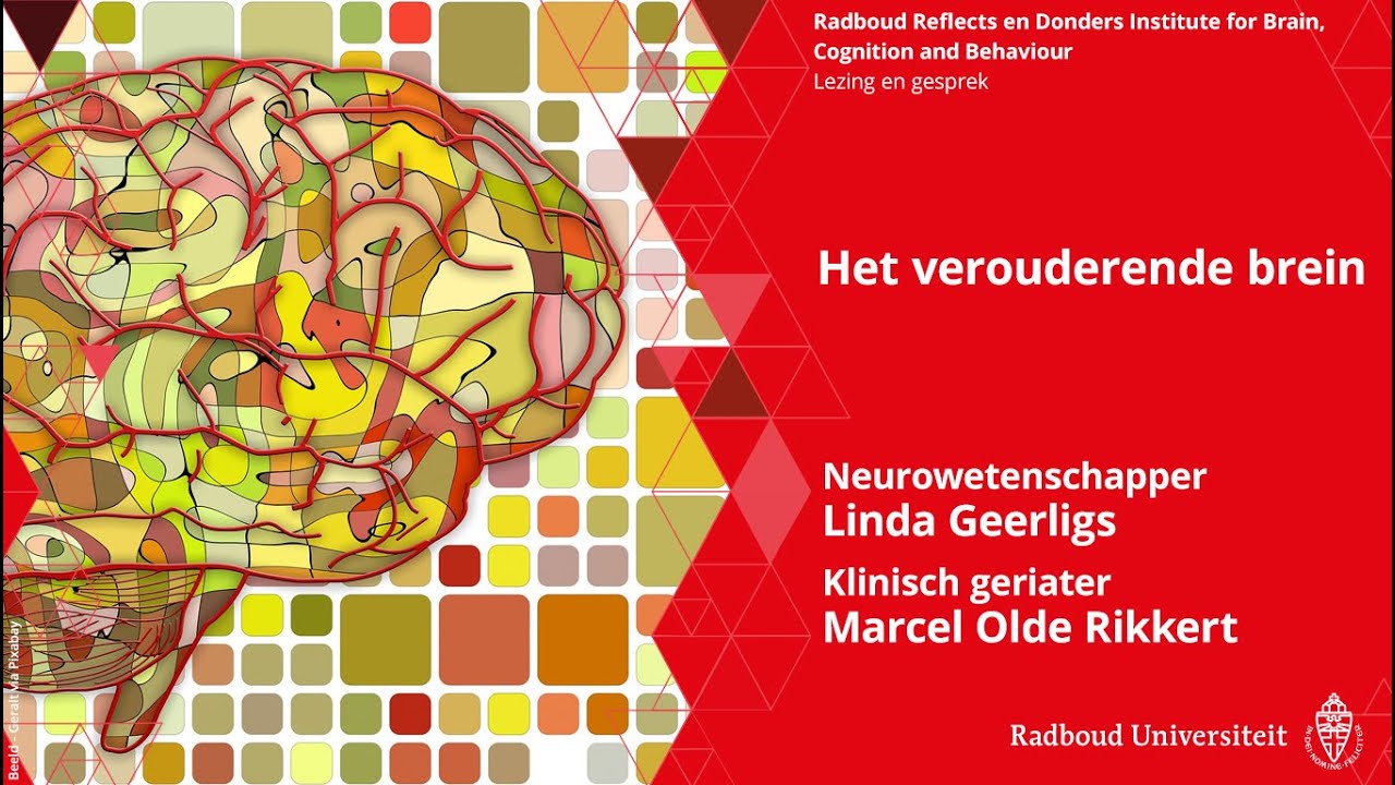 Het verouderende brein | neurowetenschapper Linda Geerligs en expert ouderenzorg Marcel Olde Rikkert