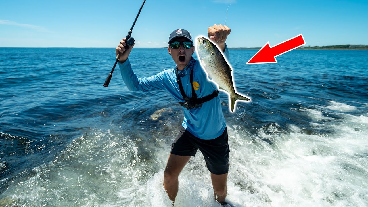 Crazy OCEAN Shore Fishing (HUGE BAIT) 