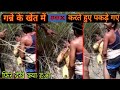 Boy and girl caught having sex openly in sugarcane field. Then see what happened #jangal