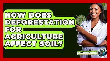 How Does Deforestation For Agriculture Affect Soil? - Earth Science Answers