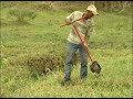 Clique e veja os vídeos da área Agricultura - Irrigação