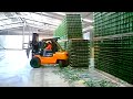 Dangerous Worker Mistakes Caught On Camera