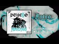 1. Intro - P$CHFN$
