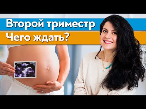 Видео: Второй триместр беременности