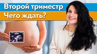 Второй триместр беременности / Когда ребенок начинает шевелиться в животе?