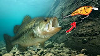 You're Fishing Cold Water WRONG! Do This Instead