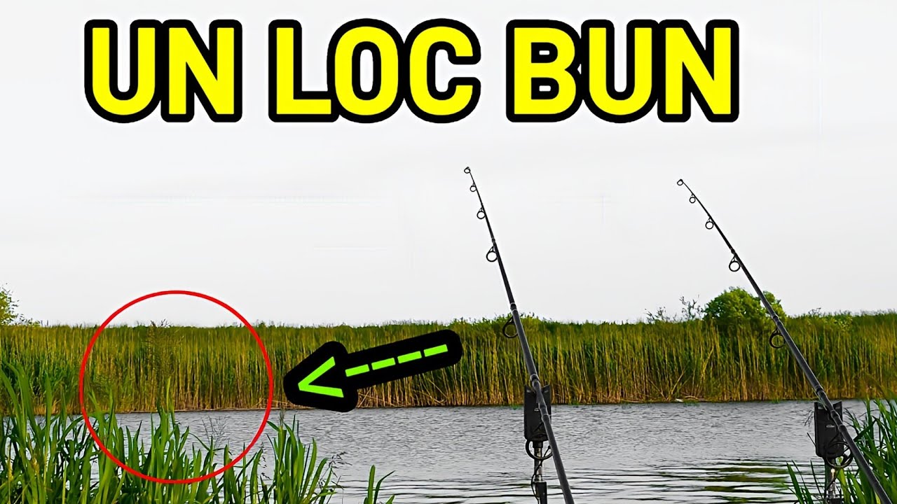 AM CAUTAT PESTELE MARE PE SIRET SI AM PATIT ASTA... (CE lOC!)