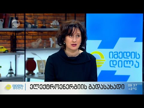 ელექტროენერგიის გადასახადი - კომპანია „თელმიკოს“  წარმომადგენლის  პასუხები