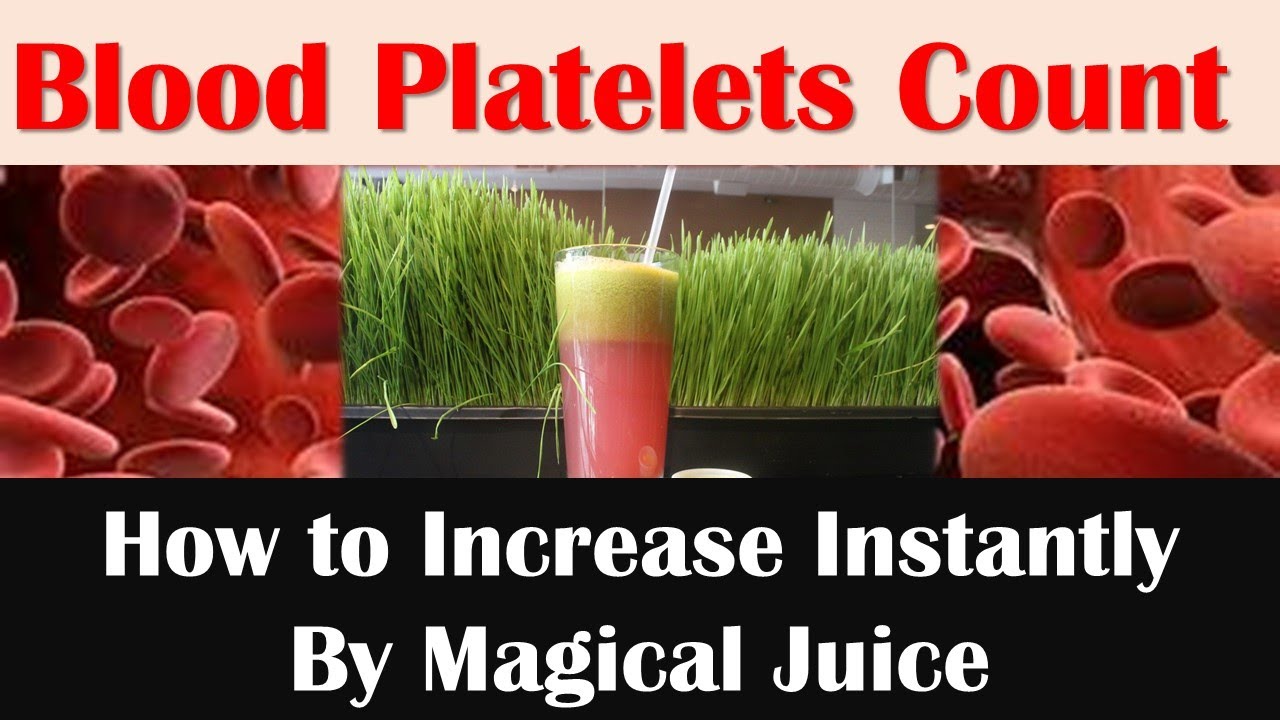 How to Increase Blood Platelets Instantly by Magical Juice 