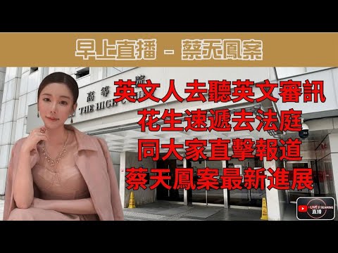蔡天鳳案 - 英文人去聽英文審訊. 花生速遞去法庭同大家直擊報道蔡天鳳案最新進展.