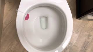 91 Great Clips Kentucky Unisex Restroom Full Shoot