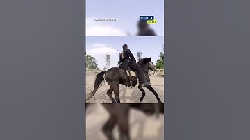 Quên hát hò, nhảy múa đi, giới trẻ giờ đổ xô đi học cưỡi ngựa, bắn cung dù học phí cực kỳ đắt đỏ