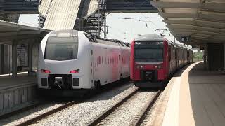 Comboio em testes diurnos - CP Stadler 2713 na zona da Azambuja - 17 Aug 2026