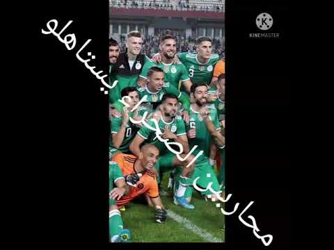 محاربين الصحراء