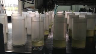 Linia Do Zalewania Zniczy Wkładów Płynną I Spienioną Parafiną