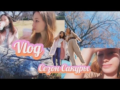 Цветение Сакуры в Японии/ ТОП Мест в Токио для Ханами/ ВЛОГ