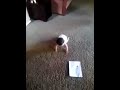 20170420_182425.3gp