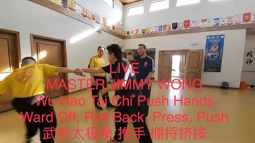 Tai Chi Wu Hao Live Push Hands Four Primary Hands Part 1