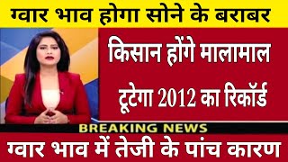 ग्वार में बनेगी जोरदार तेजी#गवार इंपोर्ट एक्सपोर्ट खबर#Kumar price today#gawar khabar screenshot 5