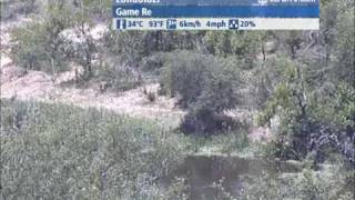The WORLD LIVE - 10:00 GMT on November 28, 2008