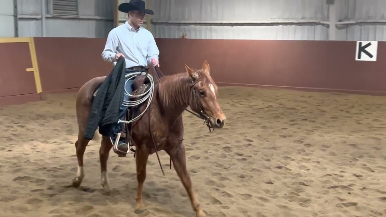 Peppy Boudreaux - Lot 25 - Real Ranch Horse Invitational Sale April 15 2023