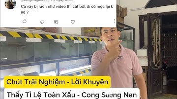 Trả Lời Bình Luận Tập 3 : Cá vây bị rách cắt bớt đi có mọc lại không ?